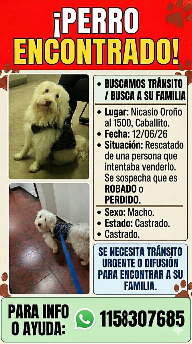 patripeyrou's tweet photo. Rt
Difundimos https://t.co/z0P1cCZ8ui