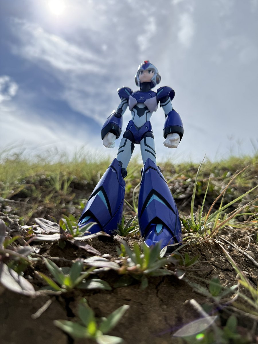 VatoMega tweet picture