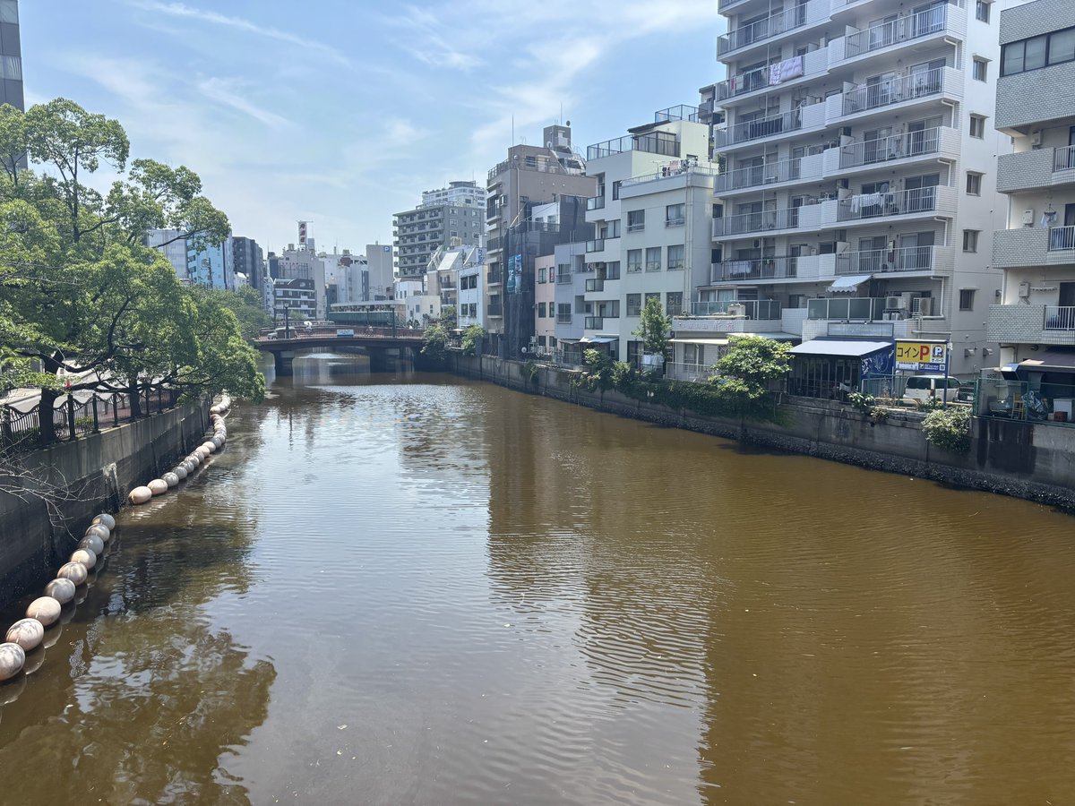 zaikabou's tweet photo. 大岡川がすごい色になっている。赤銅色とでもいうか茶色というか。匂いもなかなか https://t.co/LbVKFIsJZY