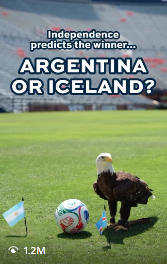 AxeIChat1111's tweet photo. I JUST FOUND THE USA EAGLE MASCOT FOR THE WORLDCUP.

Everyone is talking abt USA at the worldcup rn.

"Independence" - The Bald Eagle, is going viral af rn for predicting the world cup games.

Literally the perfect mascot for USA, a real bald eagle called "Independence" https://t.co/v3CdKYxlAv