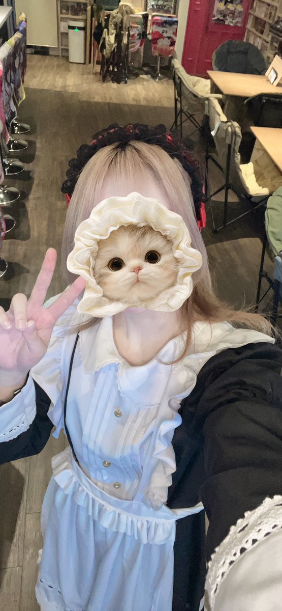 kakuni_Candy's tweet photo. 帰ってきたりこさんとありあちゃんといます🤩✨✨ご帰宅おまちしてます✨✨✨
 #きゃんあい https://t.co/RHQdKMOnre