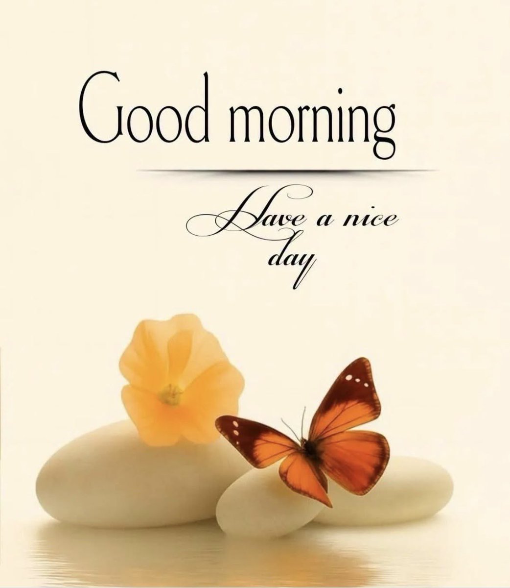 web3lady_'s tweet photo. Good morning gQuip☕️

Every great network starts with conversations.

Every great conversation starts with curiosity.

Keep learning,Keep exploring.
Have a productive day, @QuipNetwork https://t.co/cQwNStwaZ8