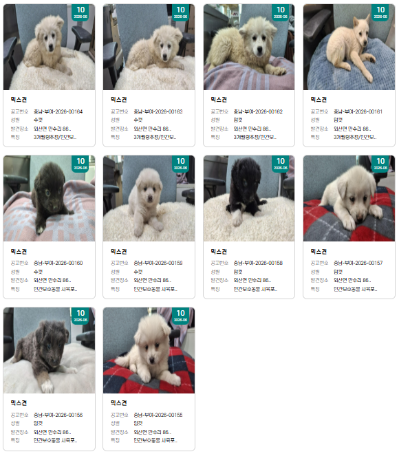 findmypaw tweet picture