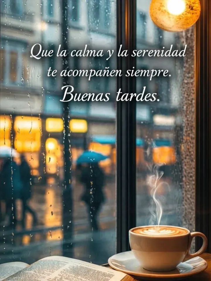 anne_pf's tweet photo. Que la calma y la serenidad te acompañen siempre. 
Buenas tardes. https://t.co/8gceKHBDeS