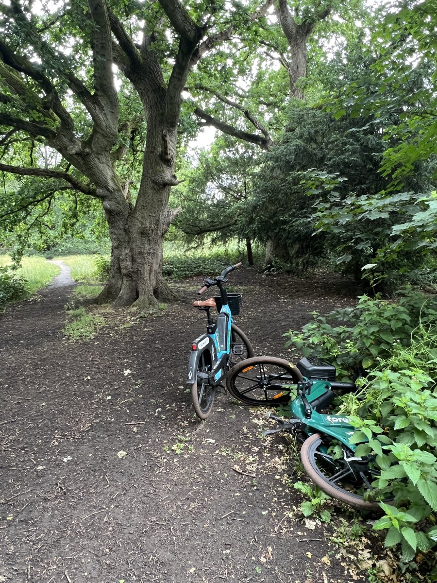 TiCLme's tweet photo. A boundary oak is an old oak tree used by early farmers and surveyors to mark a property line or parish border

@WimPutCommons it still does  @WalkWheelCycleT …

https://t.co/QgT4Kg2ywm

#boundaryoak https://t.co/vGE6bUD98A