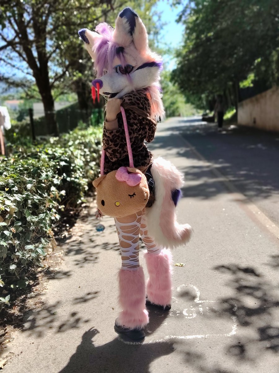 Cryptid_Seal's tweet photo. Diva king!!!
#fursuit #furryfandom #furry https://t.co/6vIPyl4oOC