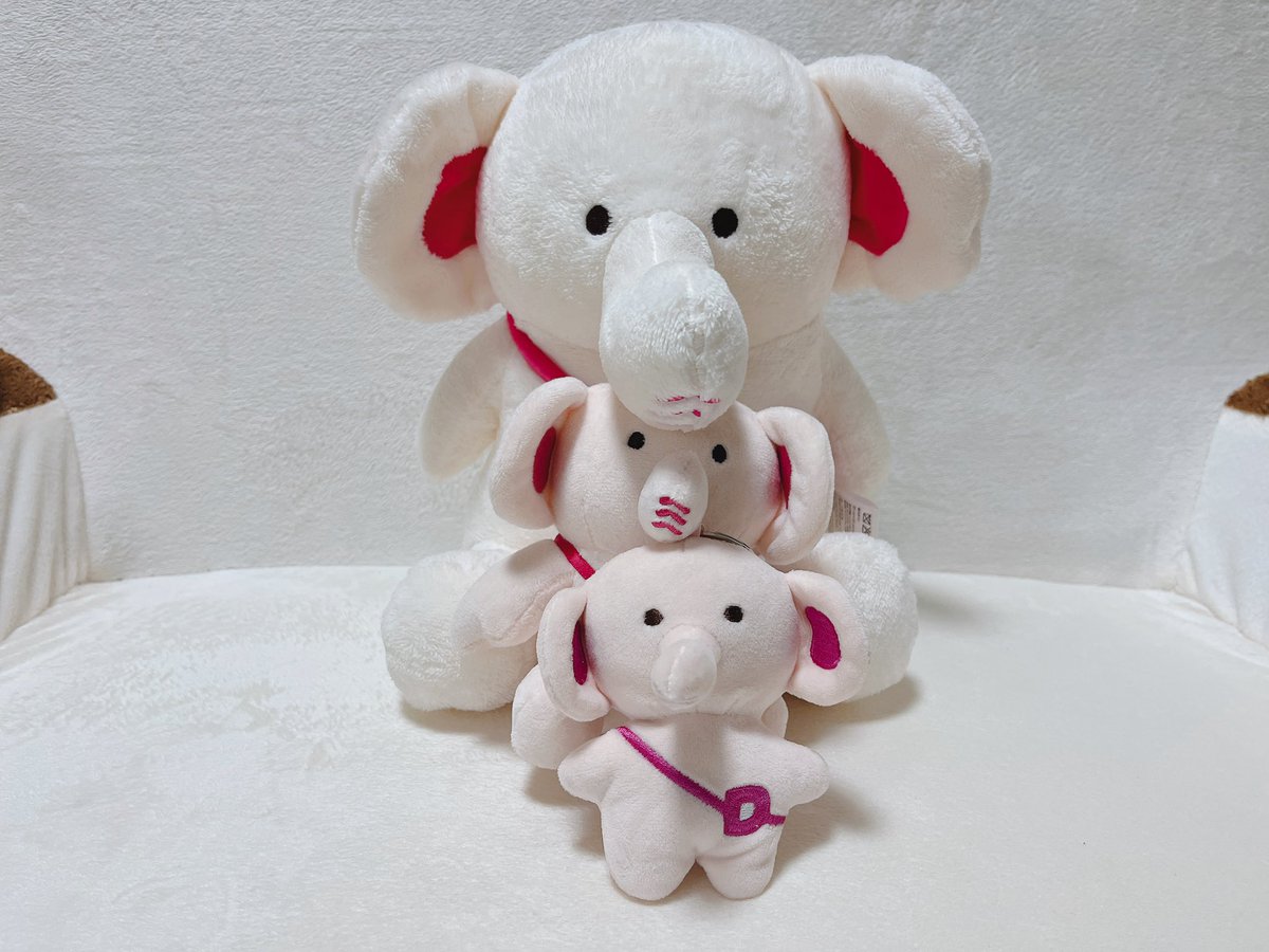0141Applecandy's tweet photo. 自慢なんですけど、
大中は所持していたけどこれまで持っていなかった小をいただいて可愛さがやばいです ありがとう…😌 https://t.co/fsemwDF2VV