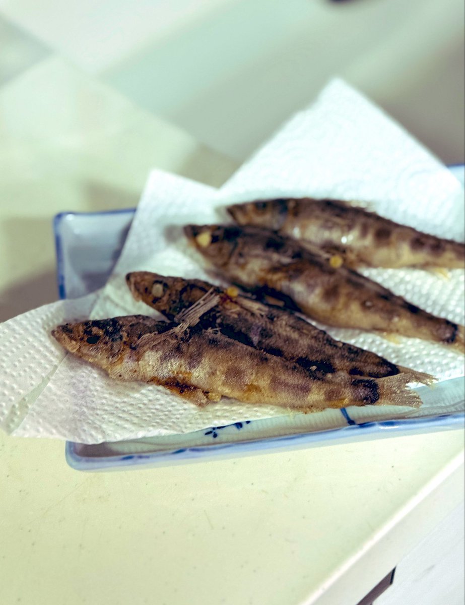 Daddystv1's tweet photo. 久々にメヒカリ🐟

いつもは頭取って唐揚げにしてたけど、今回は頭内臓付きで揚げてみた🤩

頭も内臓も全部イケちゃうぞ😍
サクッとフワっと🎶
うますぎる👍👍

#メヒカリ 
#唐揚げ
#おうちごはん https://t.co/uOO83pErak
