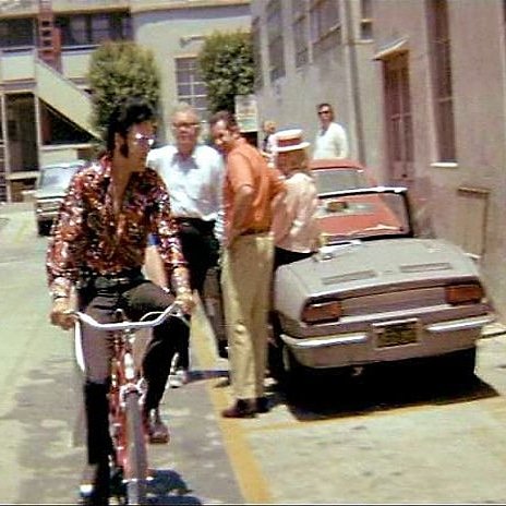 Julielouisesha1's tweet photo. Good morning all, hope you're having a lovely Saturday! #Elvis2026 https://t.co/Ws3cBidwOT