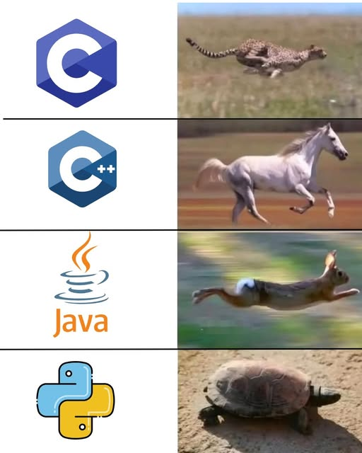 Python Developer tweet media