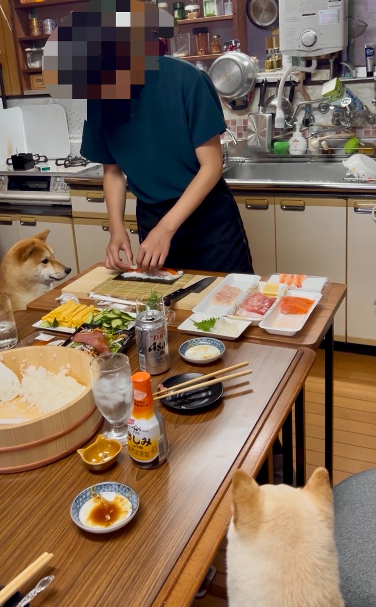niko71212202's tweet photo. 甥っ子が上手く巻けるかどうか
見守る犬たち。 https://t.co/emT27AYffk