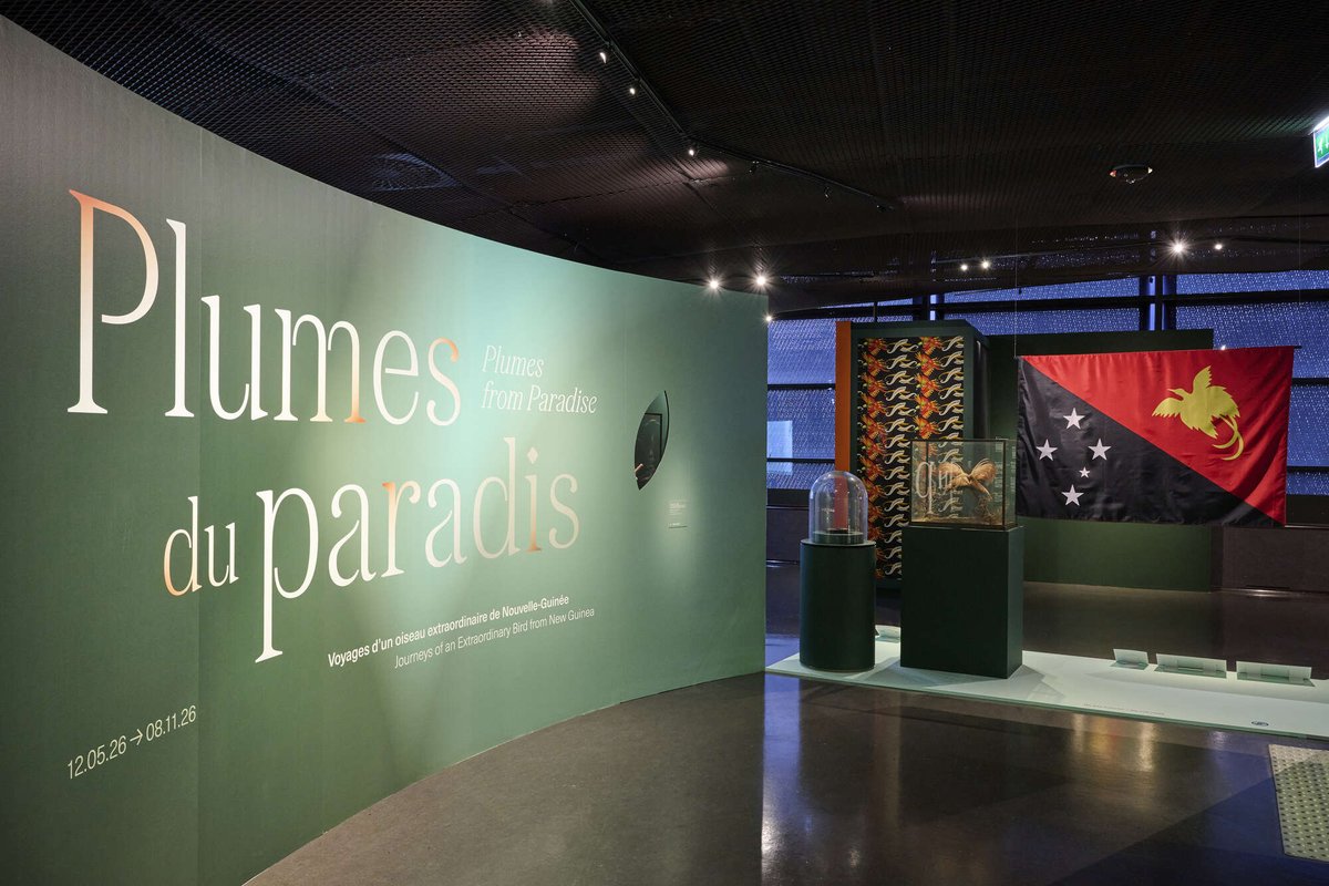 quaibranly's tweet photo. #PlumesDuParadis 🪶

📍 Découvrez l'histoire de ces oiseaux dans l'exposition « Plumes du paradis. Voyages d'un oiseau extraordinaire de Nouvelle-Guinée » à découvrir jusqu'au 8 novembre 2026 !

ℹ️ Infos et réservations 👉️ https://t.co/L5TFd9lmTy https://t.co/c51SoRQTun