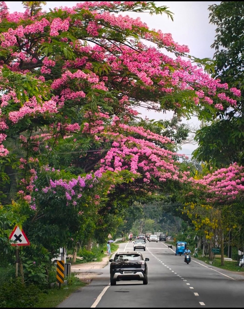 Shuchiii141979's tweet photo. India is beautiful but Elon's X algo doesn't push it. https://t.co/eWtoYDu0Dv