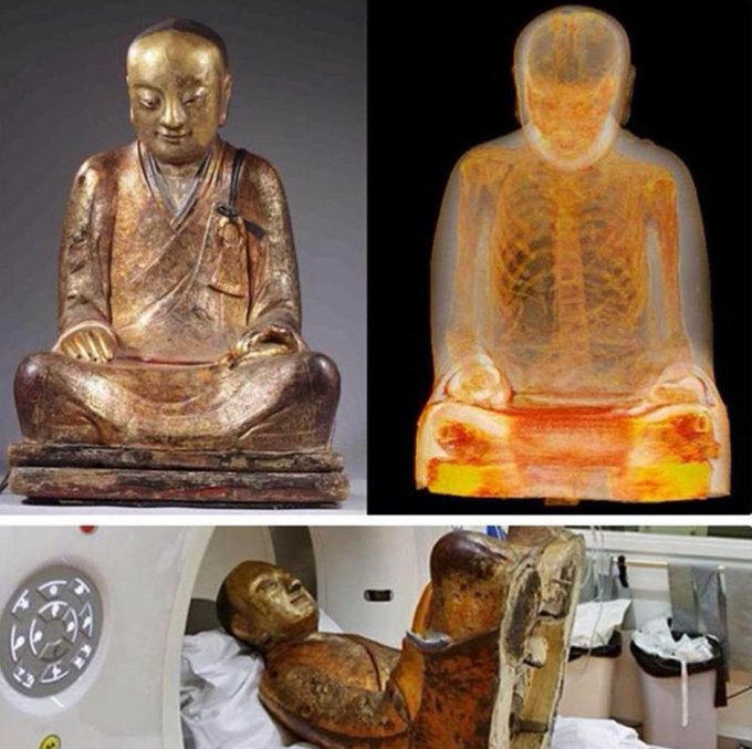 kanch7's tweet photo. @Rainmaker1973 An ancient Buddha statue from the 11th or 12th century appeared to be an ordinary religious artifact for centuries. 
But when doctors in the Netherlands examined it with a CT scanner, they made a remarkable discovery hidden inside: the mummified remains of a monk. https://t.co/JMRsXVSwgo