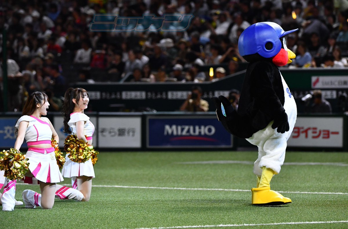 nikkan_hawks tweet picture