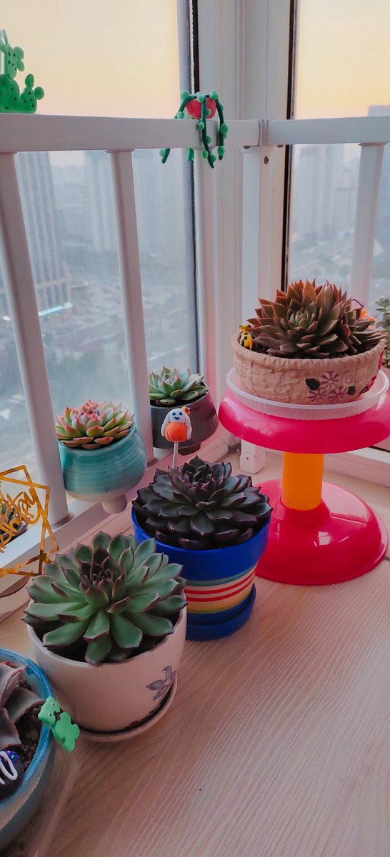 shokoladka3's tweet photo. Just turned empty glass jars into cute succulent planters with rope u0026 hot glue—simple, cozy, and zero cost! Perfect small DIY project for a slow afternoon https://t.co/3GOz6VXhOW