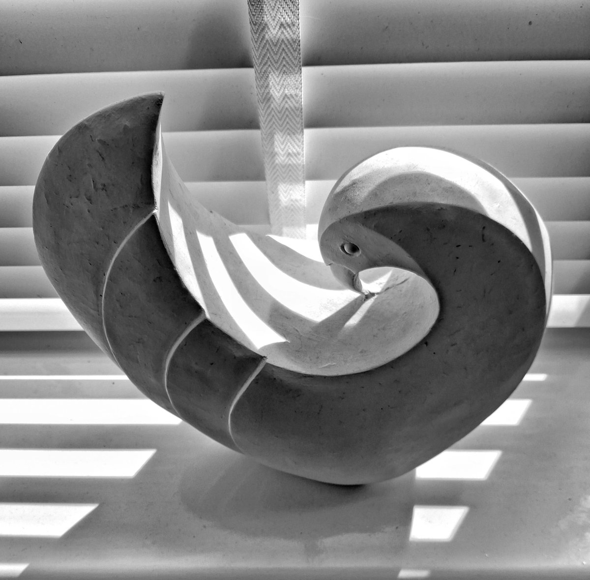 solidbond's tweet photo. #gallery365in2026saturdaymono @Gallery365photo 
Yes, another shot of shadows and blinds! https://t.co/BnySc4EuIc