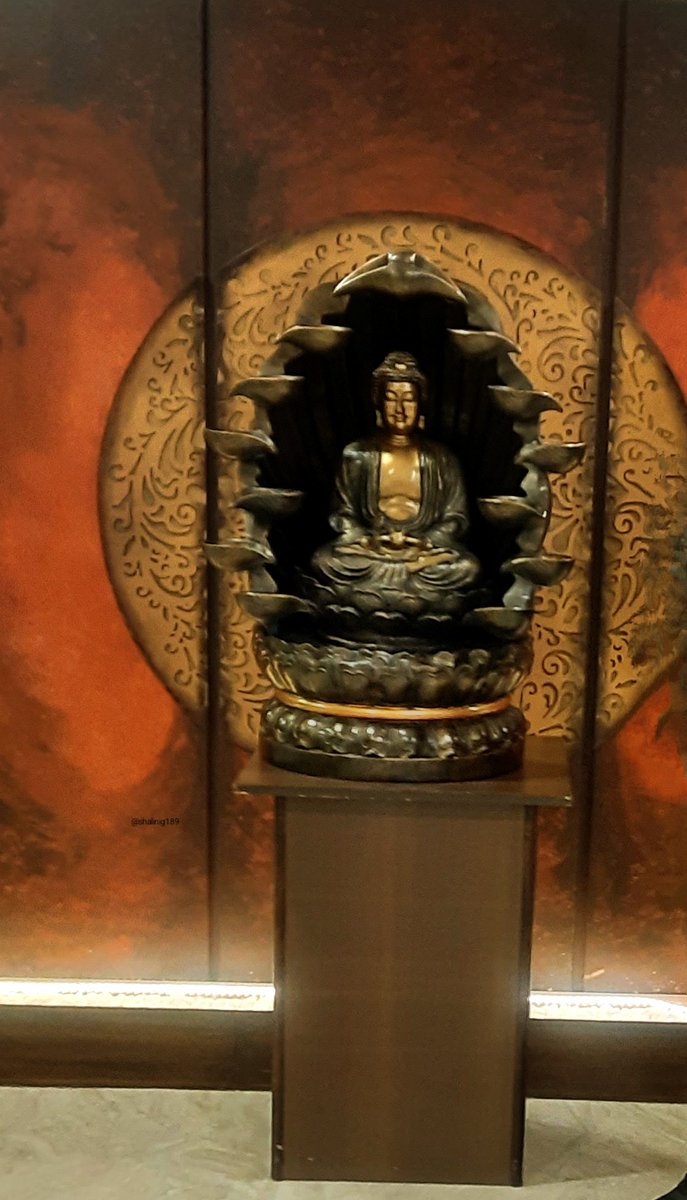 shalinig189_g's tweet photo. Bold colours get attention. Black earns it...!!!
A quiet moment with oneself is vital for our well-being ๐๐ป
Best part of prayer is we can approach God at any time ๐ ๐โจ๏ธ
Theme: Black.
Letโs see your best shot. ๐ท
#SimpleSaturday https://t.co/wAgJnPW2M5