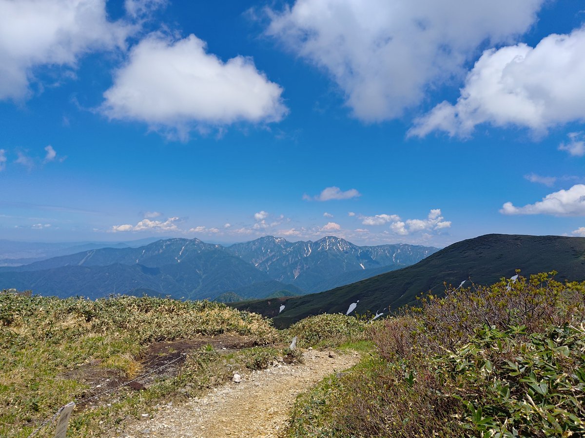 milta_BD's tweet photo. 夏空の巻機山　ミズバショウを添えて https://t.co/5w6YUNNkvs