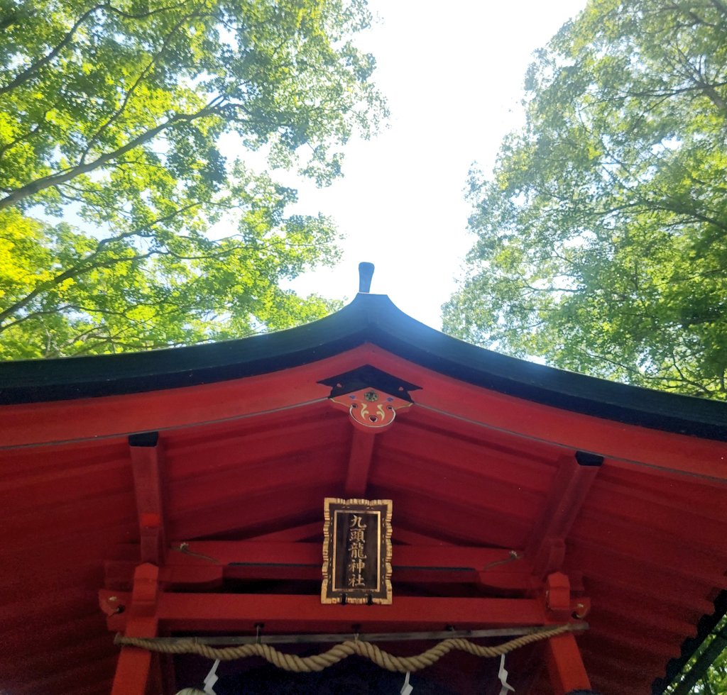 picles0818's tweet photo. 箱根九頭龍神社本宮例大祭🐉
年イチの特別な大例祭日🙏✨
ライブと重なってしまったけれどこれだけは外せないので参拝に行ってきたよ🐸✨
お天気が良くてよかった☀
#かえるのピクルス 
#九頭龍本宮 https://t.co/PzjCsL7n5I