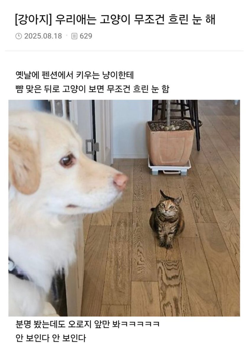 bbabobabbo's tweet photo. 이거 모모가 몽몽이랑 가족 된 당일에 일어난 일
모모가 기강 바로 잡죠ㅋㅋ https://t.co/3lljYjtttS