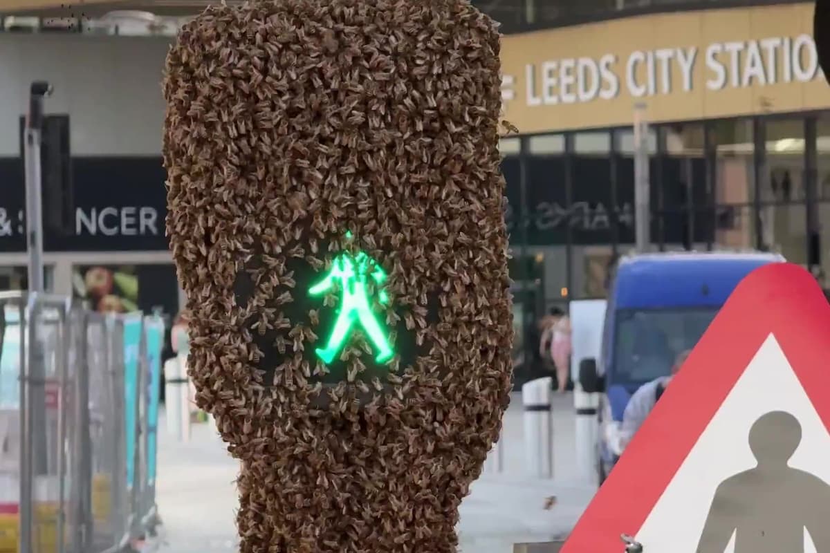 ianduhig's tweet photo. The traffic lights at Leeds Station are delaying its completion because the contractors used a green man that is a Neopagan nature figure, This means bees offer it honey, birds their eggs and travellers crossing the road here inexplicably break into Morris dances. https://t.co/ik0Qba4DBU