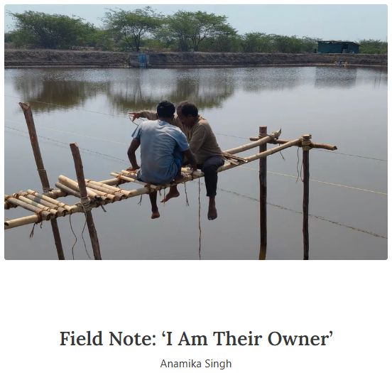 Article14live's tweet photo. Both the baby shrimp & the young men were called "bacche" on the shrimp farms
@Anamika221093’s #fieldnotes on the loss of agency by workers trapped in nearly slavery-like conditions & how employers intervened when she tried speaking directly with them
https://t.co/MIvSJ63PvT https://t.co/FC5LQY8jpk