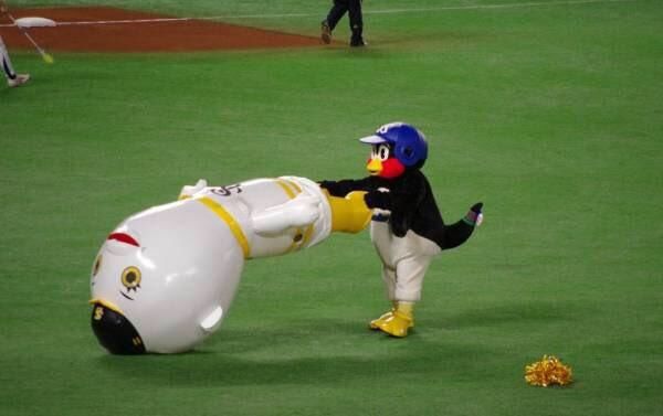 NaToSwallows_v's tweet photo. 山野の試合は勝ちたかった😖
打線、もう少し援護してやらないと😤
明日は交流戦最終戦🔥🔥
勝って締めくくりお願いします💪
頑張れSwallows‼️🐧
お疲れ様でした🙇
貧打解消‼️ホントにお願いします🙏🙏 https://t.co/SLkwEKZogQ