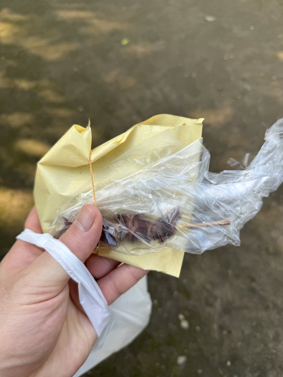 norimiso's tweet photo. 当て所もなく散歩してたらお惣菜をやってるタイプのお肉屋さんを、しかも2軒も見つけて唐揚げとかメンチとかを買ってよく知らない土地で食べ歩きしてるこの瞬間が一番幸せなんだっつってんの！ https://t.co/O3bRr2qfJS