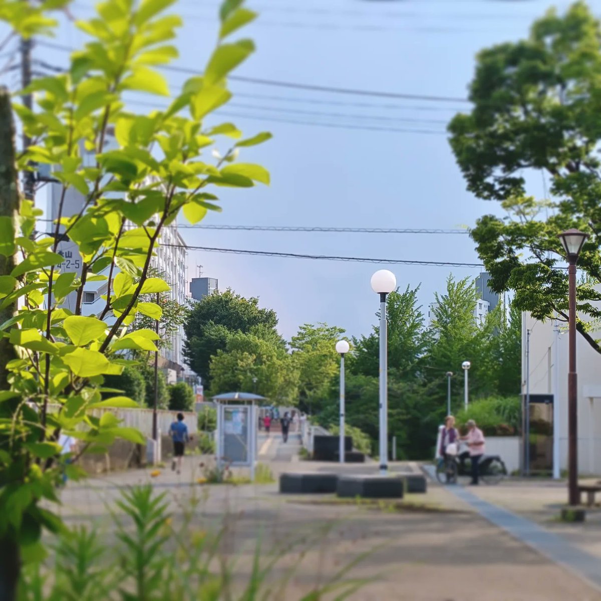 nagayamatown's tweet photo. #諏訪名店街 
#modoki

散歩がてら
風もあって午後の方が涼しがったかも？

#永山タウン #多摩市 #多摩市広報部員 https://t.co/GWdoRR9rHR