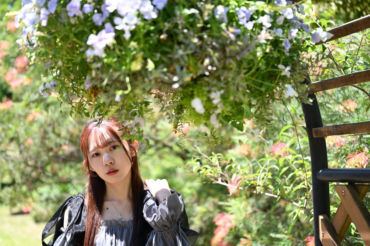 tiara_arincha's tweet photo. もっとずっと見ていてね

📸@mikan_31 https://t.co/a9rKmK6jYb