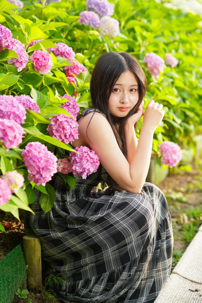 cocoraptor16's tweet photo. 紫陽花綺麗に咲いてた公園でしたが、歩いてて見かける紫陽花も好き(* 'ᵕ' )☆ https://t.co/GKUE02g7Ef