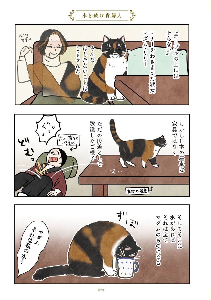 6月18日の『ポーランドからやってきた マダム猫の古民家暮らし』書籍発売日に向けて、マダムのお話を再掲いたします🌹
それでは、今日は「杯洗」のお話をどうぞ🌹1/2
#猫の日常