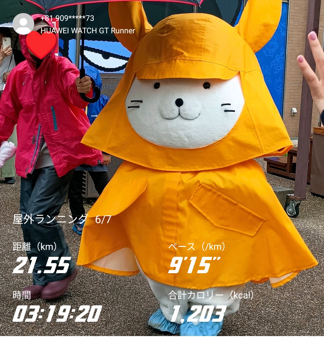 hiroko_hari_run's tweet photo. 前の日曜日。
ひこにゃんに会えました。
かわいい〜☺️ https://t.co/BwOpQieu6O