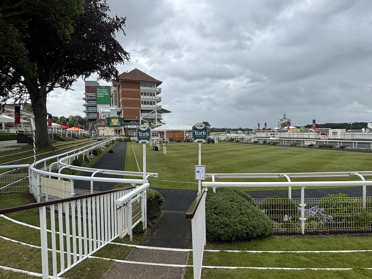 RoyaNikkhah's tweet photo. Today is the day! 🏇At 12.30pm I’ll be taking to the track at @yorkracecourse for the @macmillancancer Ride of Their Lives on Epictetus trained by @osbornejamie. Looking forward to joining @olibellracing on The Opening Show this morning from 9.30am @itvracing https://t.co/5KiTt4oGrG