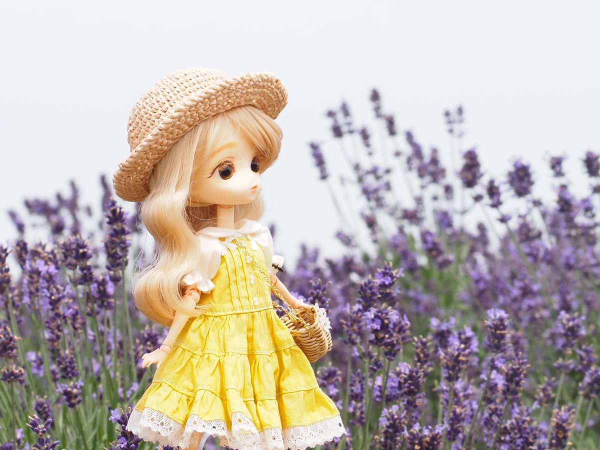 Chicoberry_doll's tweet photo. 夏のお出かけにいかがですか？

サマードレス（イエロー）・半袖ブラウス（キナリ）
#アイドール東京
#Harmoniabloom
#ハルモニアシリーズ

バッグ→@chubearume2様 https://t.co/DGfDpIgF15