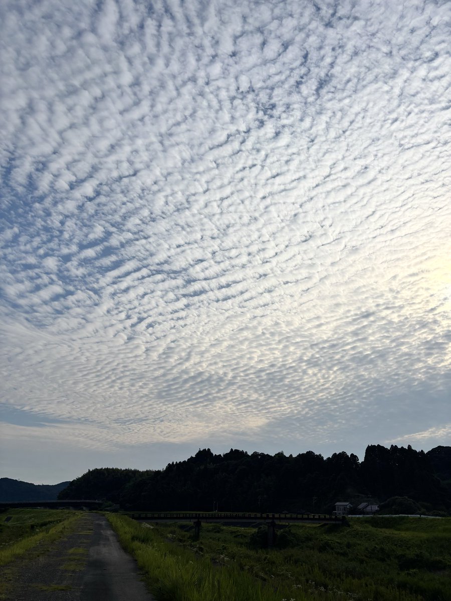 manabun0513's tweet photo. 今日は夕方ウォーキング🚶

夕日が綺麗なのだよ https://t.co/3RLzBVVMlG
