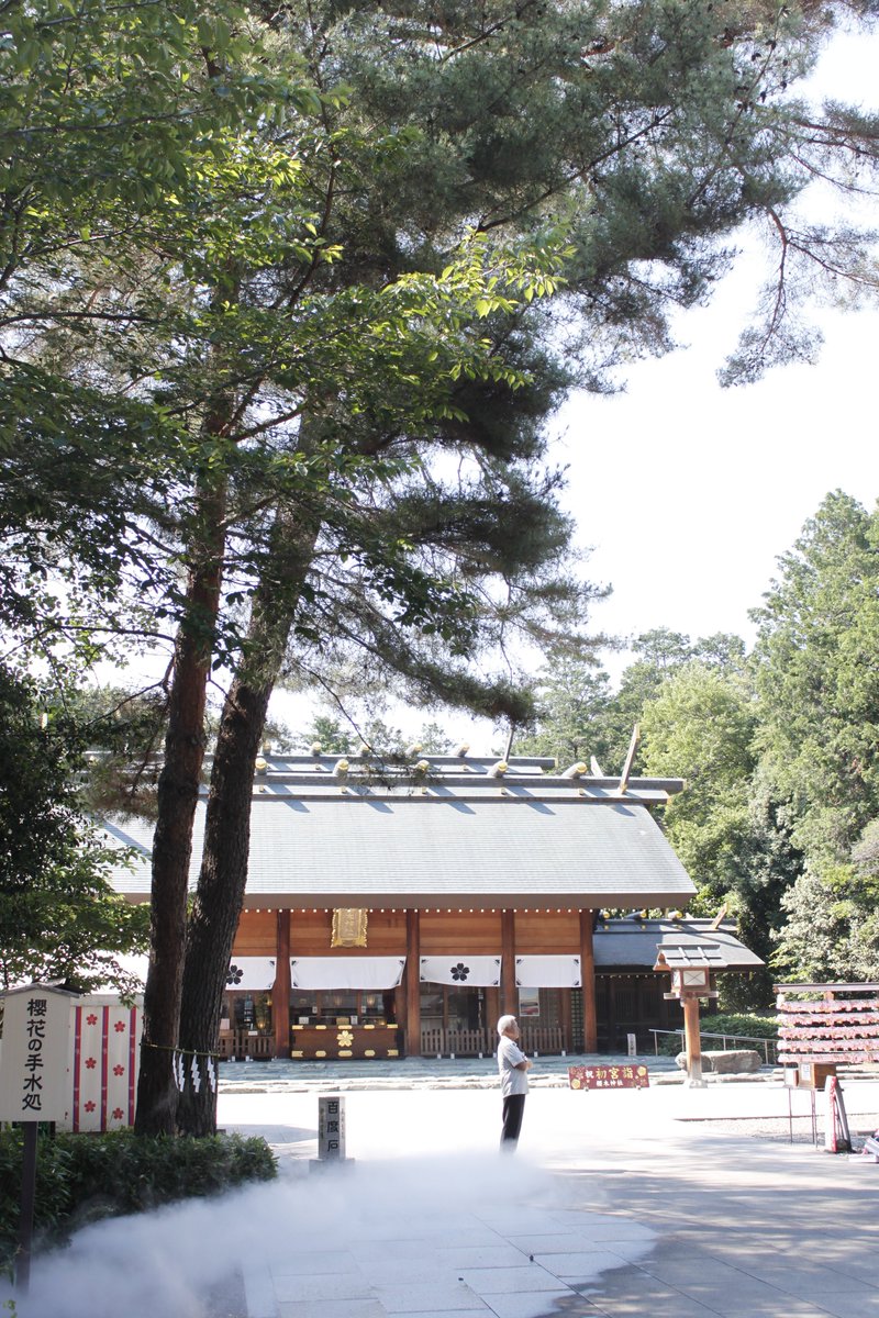 chingtama's tweet photo. お昼から車で神社巡り。車移動なのでおかーちゃんからカメラを借りる。
1カ所目、千葉の櫻木神社。
雰囲気好き。大鳥居から本殿までの道中が特に。
3枚目に写ってるおっちゃんが筋斗雲乗ってるみたいでつい。偶然です。
桜の季節に行きたかったけど今年は縁がなかった。来年に持ち越し。 https://t.co/GQG13J6wTe