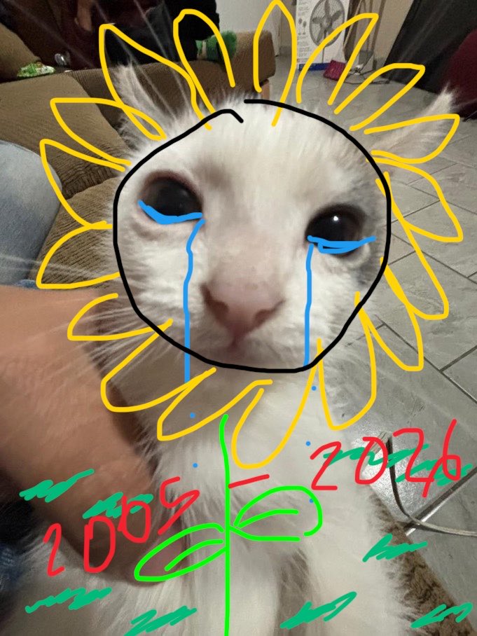 sunflowertlp's tweet photo. hoy no hay meme, el cookeador murió d depresión https://t.co/mvynWsEl9y