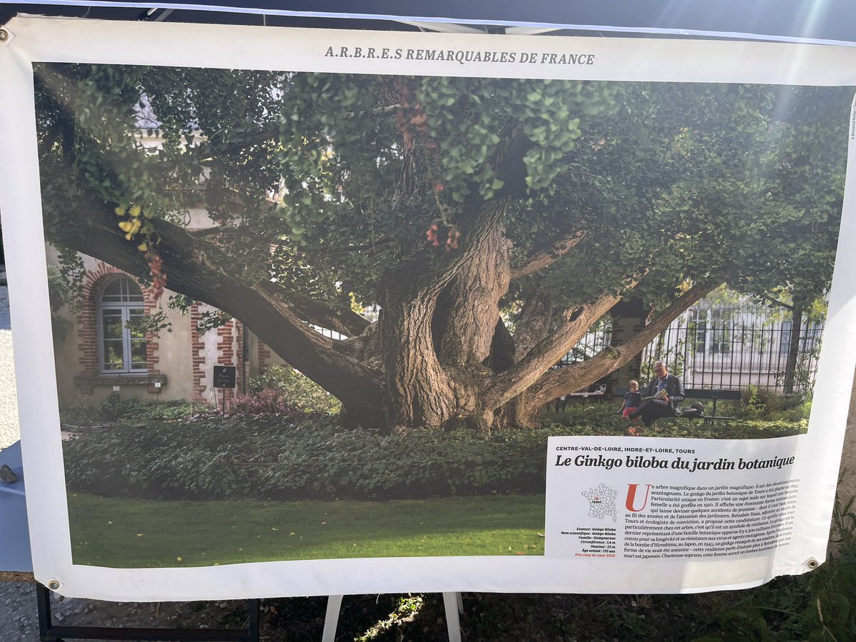 tteulade's tweet photo. Au festival @LaRégal'Arbres au @domainedel'arbousier à #castries pour représenter l'association nationale  Arbres remarquables de France avec Marie Noëlle Sibieude
Venez découvrir les arbres remarquables de #france https://t.co/NueGxjDbXn