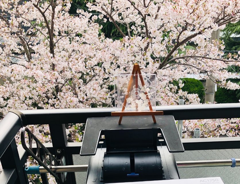 uytrere's tweet photo. 最近になって、「透ける春」の最初の着想を得た家の前の桜の木が切り倒されていなくなったこと、最近の色んなことを振り返って、過ぎ去った後の春としてディスクのないこの仕様であえてもう一度作るのも良いかと思い立ち、今回の復刻盤を作ることにしました。

(おまけ: 初版の宣伝写真の撮影風景) https://t.co/7cKyrGFfLr
