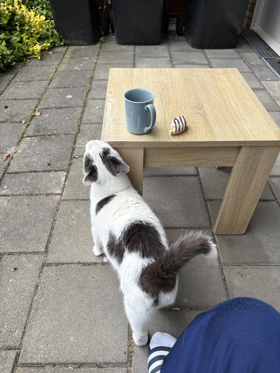 winnend's tweet photo. @Fiekje1988 Het plan dit te doen is er 😉 ben nog niet begonnen hoor, aan de koffie met een donut 😌 https://t.co/GYZYPYd0oY