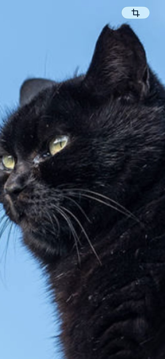光源氏🇯🇵 tweet media