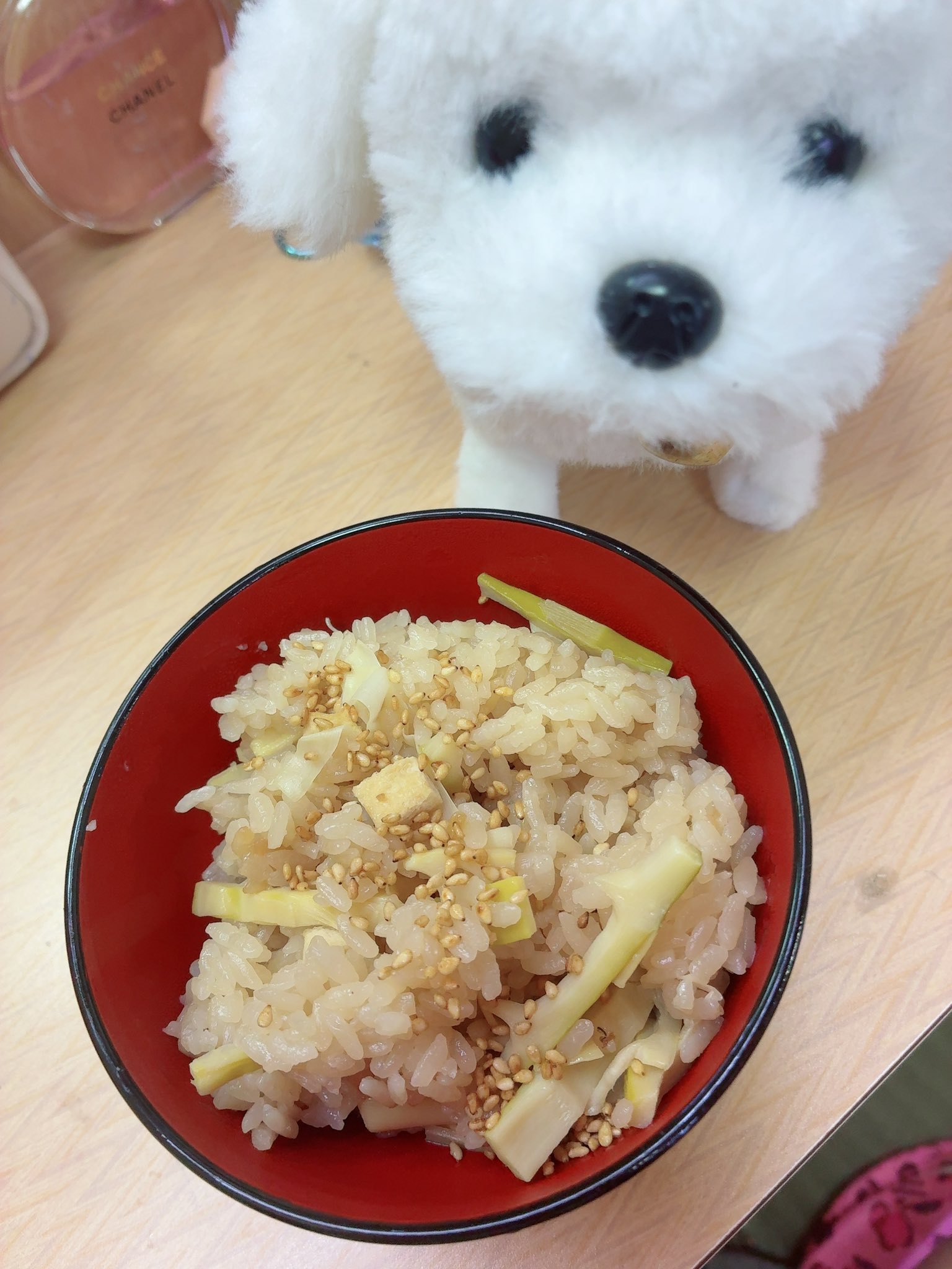 1 pic. のせられてなかった先週の思い出をのせてく( ◜◡◝ ) いただけた柔らかくて美味しいたけのこを ようこ様が最高料理にしてくださって幸せだった お忙しいのにお優しすぎる女神 たけのこごはんとやきうどんwithたけのこ https://t.co/BoGwYhdyMl