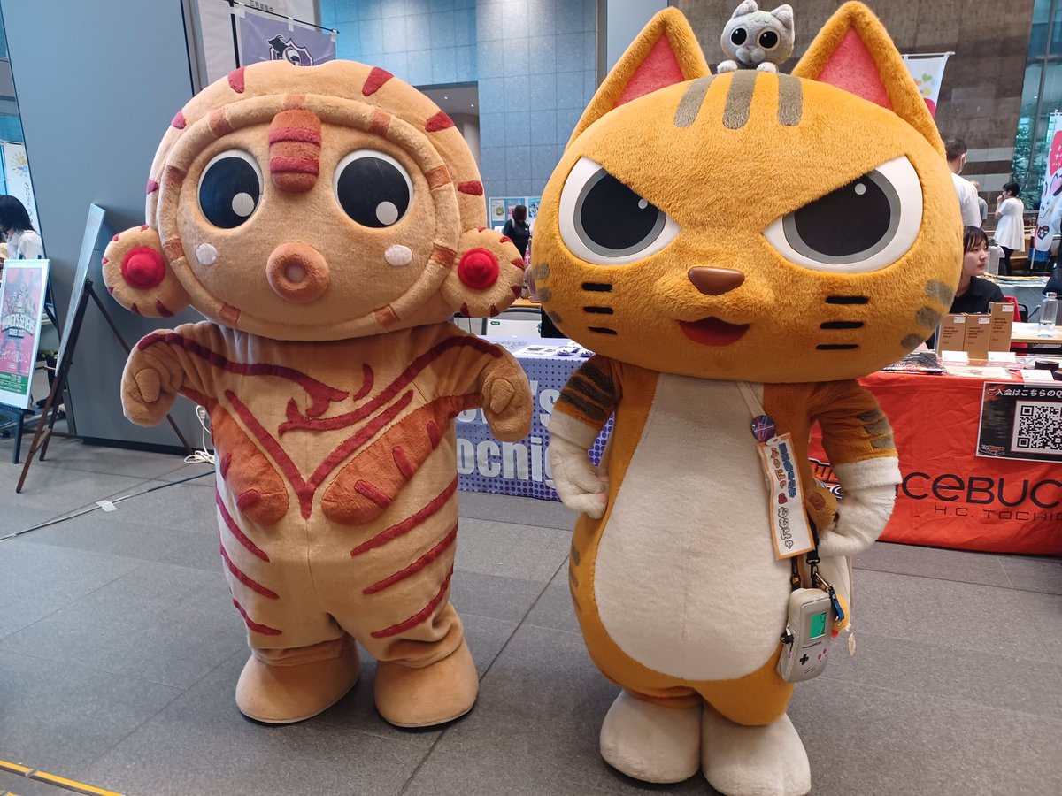 みーたん