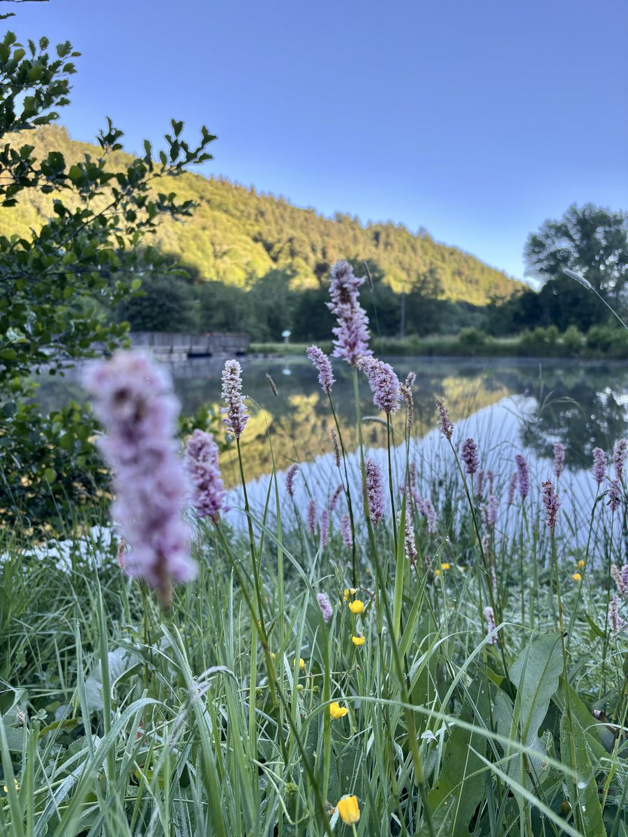 otsancy tweet picture