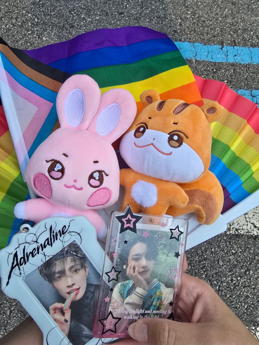 soobjoongaholic's tweet photo. brought my babies to seoul pride hehe <3 https://t.co/6hNpdRq66y