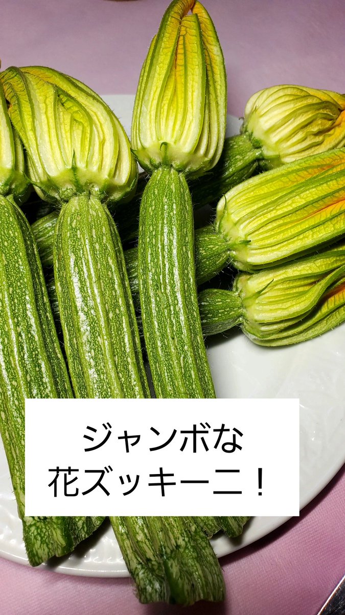 Vishamonte1's tweet photo. モッツァレラを詰めてフリットで https://t.co/4a4bK0bgor