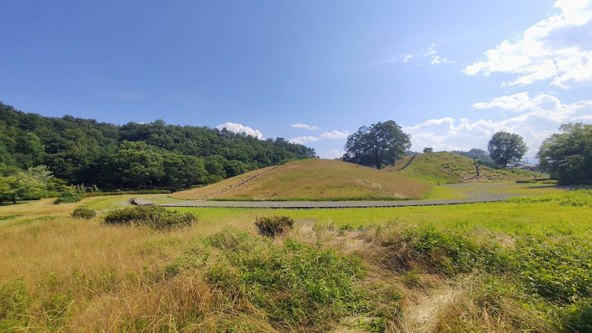 Y_mountori's tweet photo. 昨年の金鶏金山に引き続き、前日大会では調査責任者を務めました。曽根丘陵公園はいかがだったでしょうか。

🍀草刈りが入らず、地図表記に対して著しく足元の植生が悪化していた箇所がありました。申し訳ございません。

明日はいよいよ本大会ですね！ロングはタフネス💪 https://t.co/8xVLEKkW4X