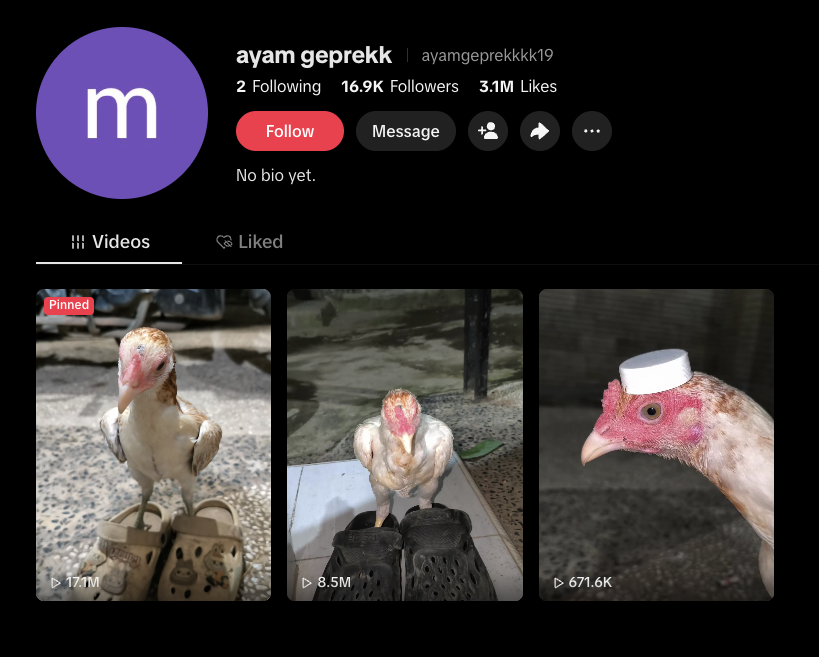 The Quantski tweet media